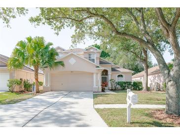 Photo one of 3833 Bellewater Blvd Riverview FL 33578 | MLS T3524397
