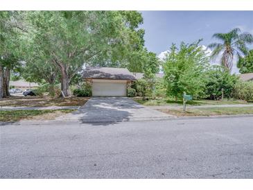 Photo one of 3680 Hollow Trail Ct Palm Harbor FL 34684 | MLS T3524438