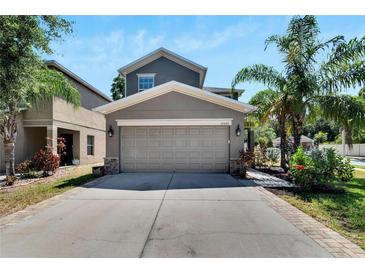 Photo one of 10526 White Peacock Pl Riverview FL 33578 | MLS T3524564
