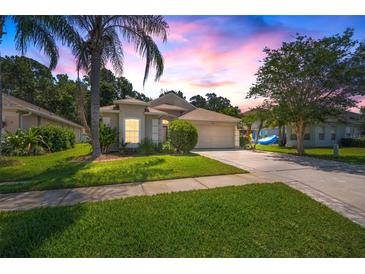 Photo one of 14627 Corkwood Dr Tampa FL 33626 | MLS T3524821