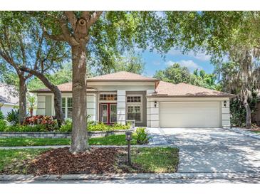 Photo one of 6116 Whimbrelwood Dr Lithia FL 33547 | MLS T3524868