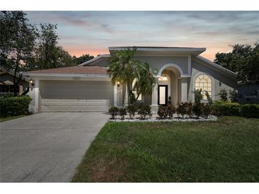 Photo one of 18015 Palm Breeze Dr Tampa FL 33647 | MLS T3524954