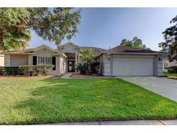 Photo one of 10746 Ayrshire Dr Tampa FL 33626 | MLS T3525434
