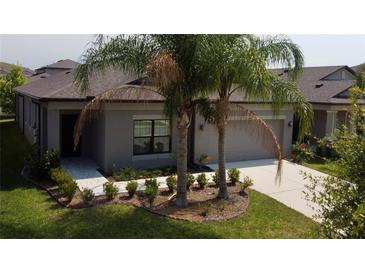 Photo one of 11433 Amapola Bloom Ct Riverview FL 33579 | MLS T3525580