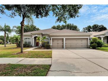 Charming single-story home features a three-car garage, manicured lawn, and mature landscaping at 12902 Cattail Shore Ln, Riverview, FL 33579