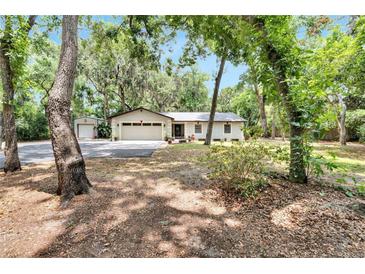Photo one of 8202 Stoner Woods Dr Riverview FL 33569 | MLS T3526652