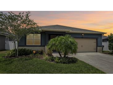 Photo one of 13238 Baby Belle Dr Riverview FL 33579 | MLS T3526819