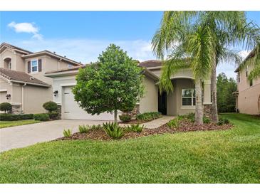Photo one of 31110 Lindentree Dr Wesley Chapel FL 33543 | MLS T3526854
