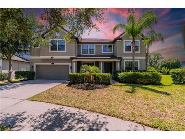 Photo one of 11527 Sand Stone Rock Dr Riverview FL 33569 | MLS T3529339