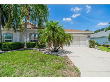 Single-story house with palm trees, lush lawn, and a two-car garage at 912 Oxford Park Dr, Sun City Center, FL 33573
