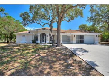 Single-story home with large yard and driveway at 13231 Snowy Plover Ave, Weeki Wachee, FL 34614