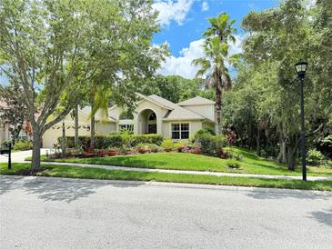 Photo one of 8257 Swann Hollow Dr Tampa FL 33647 | MLS T3532773