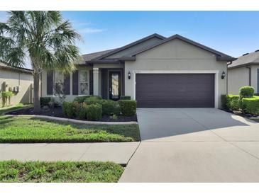 House exterior view, showcasing front yard and driveway at 16321 Treasure Point Dr, Wimauma, FL 33598