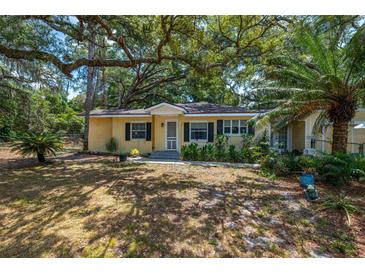 Ranch style home with mature landscaping and large shade trees at 16637 Livingston Ave, Lutz, FL 33559