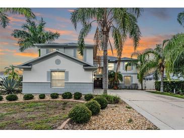 Two-story home with landscaping and driveway at 11116 Hoffner Edge Dr, Riverview, FL 33579