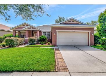 Single-story home with two-car garage, lush lawn, and brick walkway at 10906 Holly Cone Dr, Riverview, FL 33569