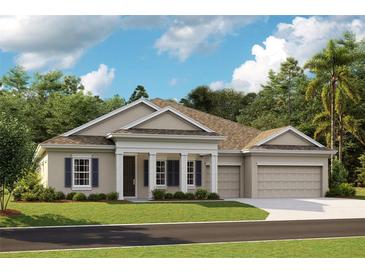 Photo one of 6257 Hidden Branch Dr Apollo Beach FL 33572 | MLS T3539893