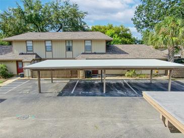 Covered carport parking spaces for residents at 807 Hunters Ct, Brandon, FL 33511