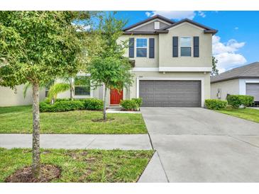 Photo one of 12813 Wildflower Meadow Dr Riverview FL 33579 | MLS T3541715