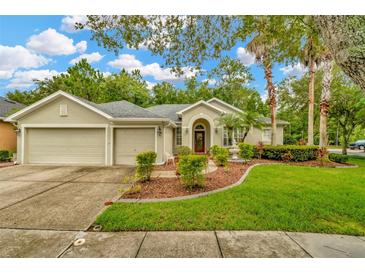 Photo one of 16141 Colchester Palms Dr Tampa FL 33647 | MLS T3543008