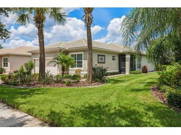 Photo one of 15826 Amber Falls Dr Wimauma FL 33598 | MLS T3544808