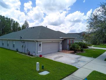 One-story home with two-car garage at 20006 Nob Oak Ave, Tampa, FL 33647