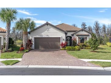 Photo one of 11031 Calluna Dr Odessa FL 33556 | MLS T3546146