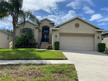 Beige house with two car garage and palm trees at 1134 S Pointe Alexis Dr, Tarpon Springs, FL 34689