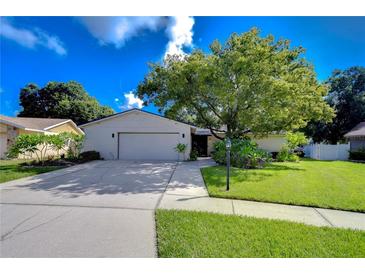 Charming house exterior with a two-car garage and lush landscaping at 4008 Greenmark Ln, Valrico, FL 33596