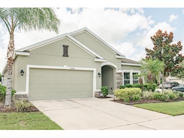 Photo one of 33080 Shadow Branch Ln Wesley Chapel FL 33545 | MLS T3546714