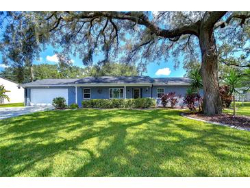 Photo one of 11409 Donneymoor Dr Riverview FL 33569 | MLS T3547958