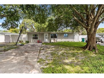 One-story home with a large tree and basketball hoop at 11756 102Nd St, Largo, FL 33773