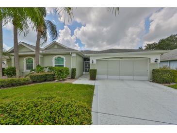 Photo one of 2422 Oxford Down Ct Sun City Center FL 33573 | MLS T3548841