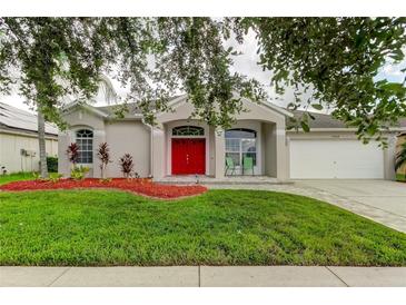 One-story home with red door and well-manicured lawn at 25954 Risen Star Dr, Wesley Chapel, FL 33544