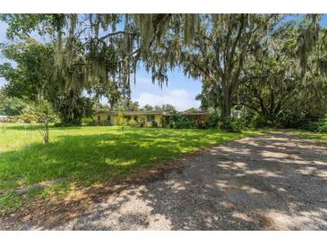 Ranch-style home with mature trees at 2904 Lewis Rd, Dover, FL 33527