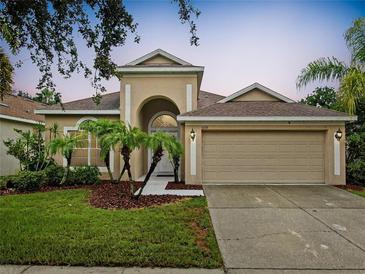 Tan one-story house with a two-car garage, lush landscaping, and palm trees at 5229 Clover Mist Dr, Apollo Beach, FL 33572