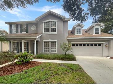 Two-story house featuring a gray exterior, large windows, and a double-car garage at 18122 Sugar Brooke Dr, Tampa, FL 33647