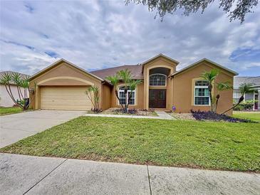 Photo one of 4114 Amber Ridge Ln Valrico FL 33594 | MLS T3550893