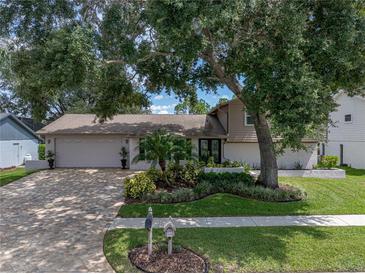 Beautiful home exterior with a large driveway and lush landscaping at 4317 Honey Vista Cir, Tampa, FL 33624