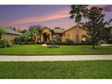 Beautiful home exterior with landscaping and curb appeal at 824 Citrus Wood Ln, Valrico, FL 33594