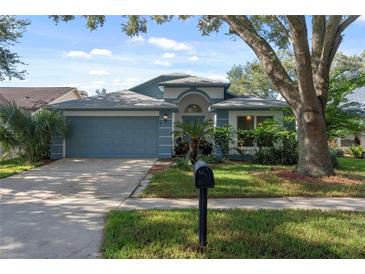 Photo one of 1831 Erin Brooke Dr Valrico FL 33594 | MLS T3552097