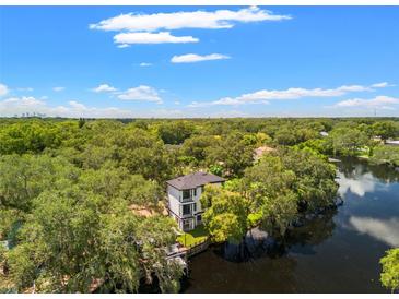 Modern home nestled on a waterfront lot, surrounded by lush greenery at 321 W Hanlon St, Tampa, FL 33604