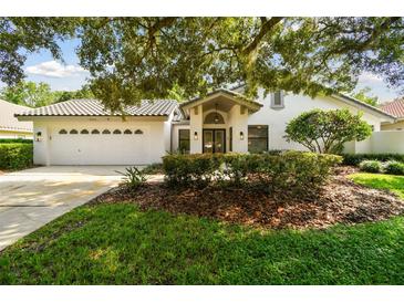 Photo one of 4915 Londonderry Dr Tampa FL 33647 | MLS T3552606