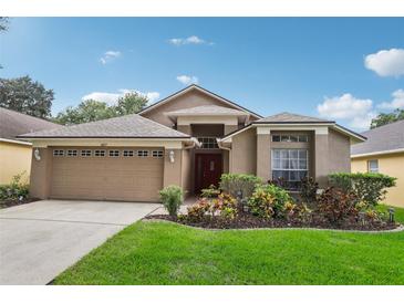 Photo one of 10137 Somersby Dr Riverview FL 33578 | MLS TB8300124