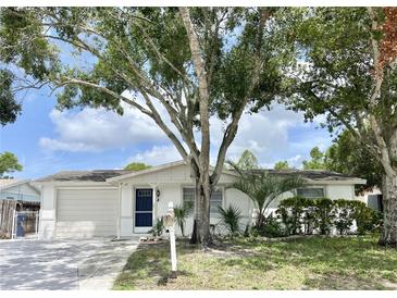 Charming single-story home with a white exterior and a well-manicured lawn at 3245 Bigelow Dr Dr, Holiday, FL 34691