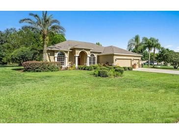 Photo one of 13512 Lunker Ct Odessa FL 33556 | MLS TB8301708