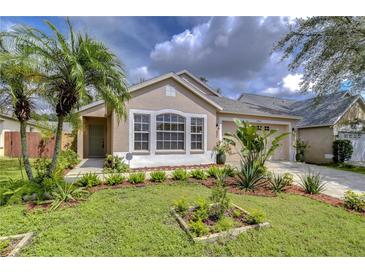 Photo one of 10922 Brucehaven Dr Riverview FL 33578 | MLS TB8302637