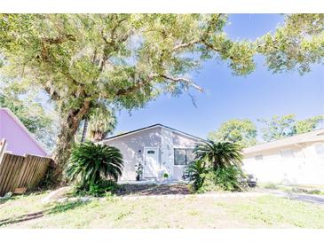 Charming single story home with mature landscaping and a spacious front yard at 8114 N Edison Ave, Tampa, FL 33604