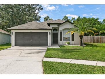 One-story house with a two-car garage and landscaped lawn at 9733 Long Meadow Dr, Tampa, FL 33615