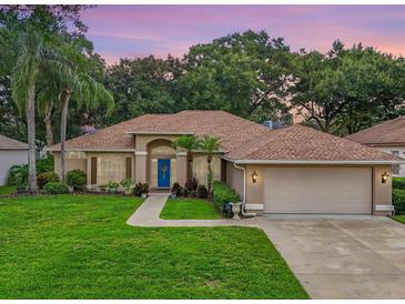 Charming single-story home with a two-car garage and manicured lawn at 4940 Willow Ridge Ter, Valrico, FL 33596